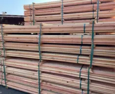 1.5 in x 8 ft Round DF Tree Stake